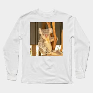 Koala in Australia Long Sleeve T-Shirt